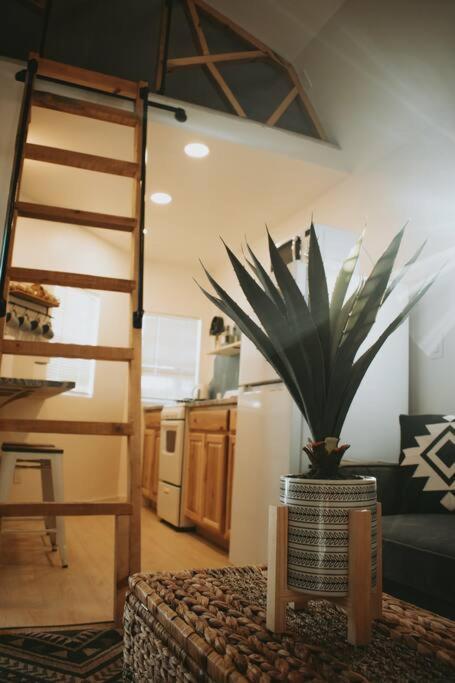 Agave Tiny House At Cactus Flower-Hot Tub-Pet Friendly-No Pet Fees! Албукерке Екстериор снимка